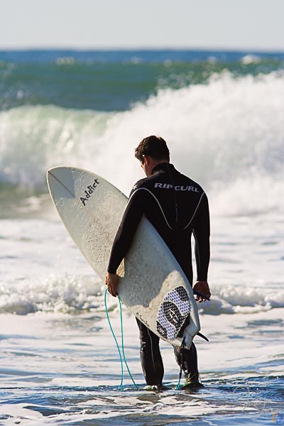 Surfer