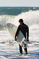 Surfer